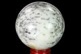 Polished Dendritic Agate Sphere - Madagascar #157646-1